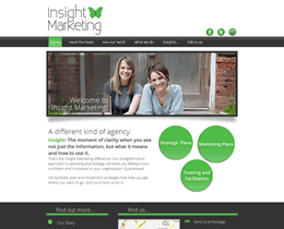 Insight Marketing website by Jukah Digital Screenshot of Insight Marketing website by Jukah Digital